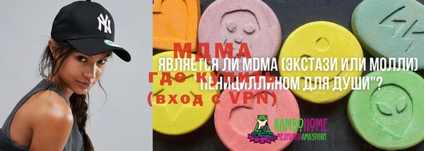гидра Алексеевка