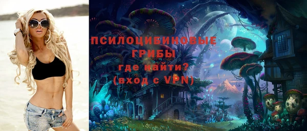 круглые Аркадак